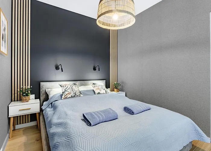 Cristal 公寓 罗兹